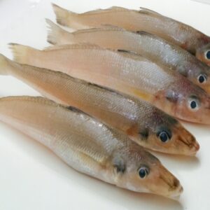 Fresh and Frozen Lady Fish
