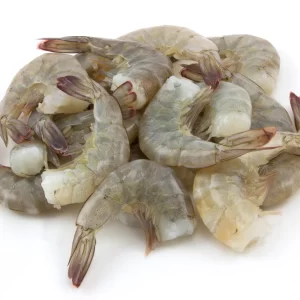 Fresh and Frozen Shrimps