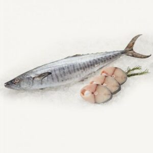 Fresh and Frozen King Fish